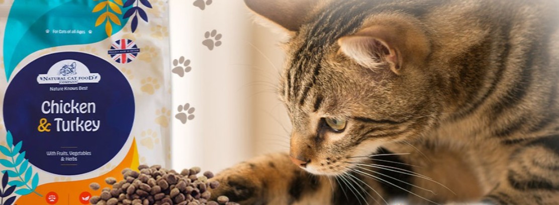 「【猫の食いつき激変！】グレインフリーを食べないは嘘？口コミ・評判を徹底レビュー」