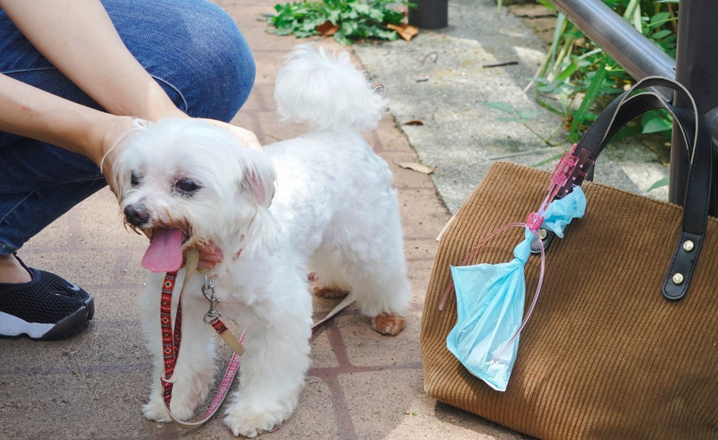 【犬のうんち処理】腰を痛めず衛生的!発明家が作った「運キャッチ」で散歩のマナー