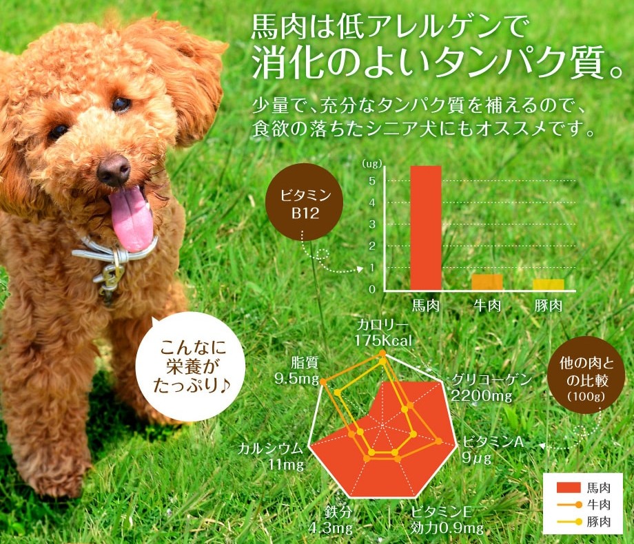 【愛犬の食欲不振に】馬肉パラパラミンチの口コミ・評判は？40代主婦が安全性と与え方を徹底レビュー！