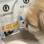 【愛犬の軟便対策】無添加ドッグフード「グランツ」徹底レビュー