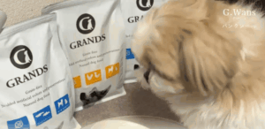 【愛犬の軟便対策】無添加ドッグフード「グランツ」徹底レビュー